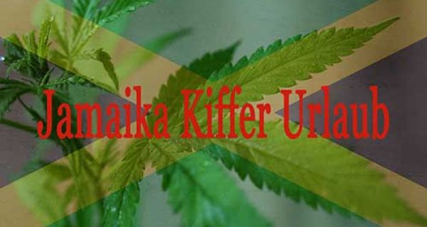Ein "berrauschender" Kiffer Urlaub in Jamaika