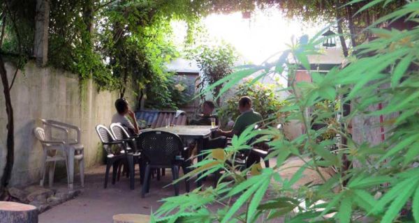 Beach Hostel 420 Santa Maria