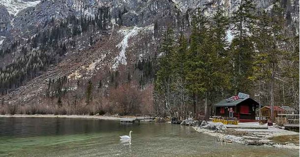 Leopoldsteiner See: Naturidylle und Genussmomente