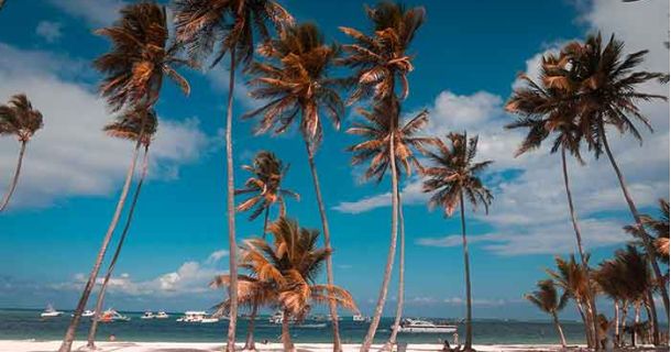 Dominikanisches Paradies: Kulinarik & Kultur