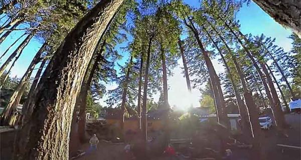 Bandon Wayside Motel + RV