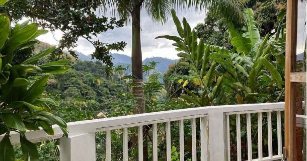 Bluemountview Guesthouse
