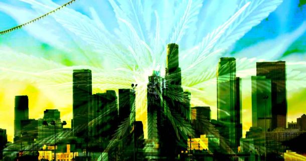 Cannabis Urlaub im Dream Hollywood