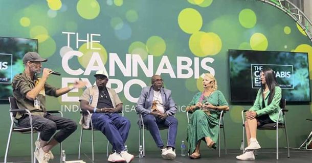 Mit Kuda high durch Kapstadt reisen