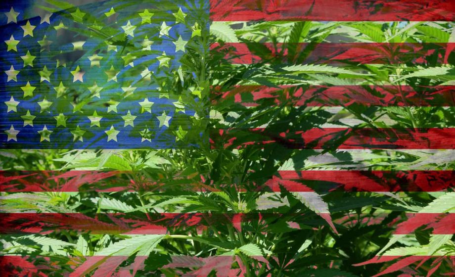 Rechtliche Grundlage in den Bundesstaaten der USA