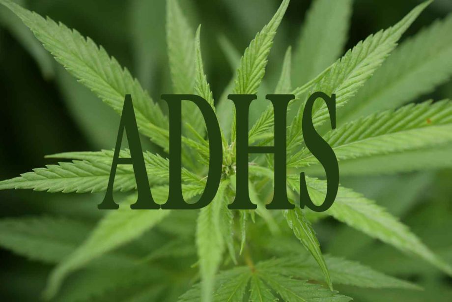 Cannabis und ADHS (Aufmerksamkeitsdefizit-/Hyperaktivitätsstörung)