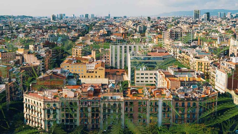 Die 6 besten Cannabis Clubs für euch in Barcelona!