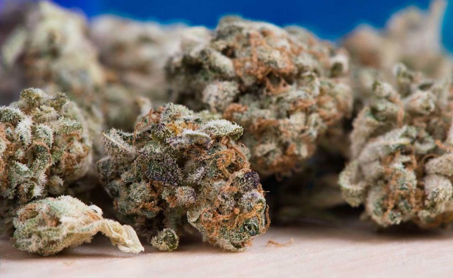 Gedanken zur Legalisierung von Cannabis
