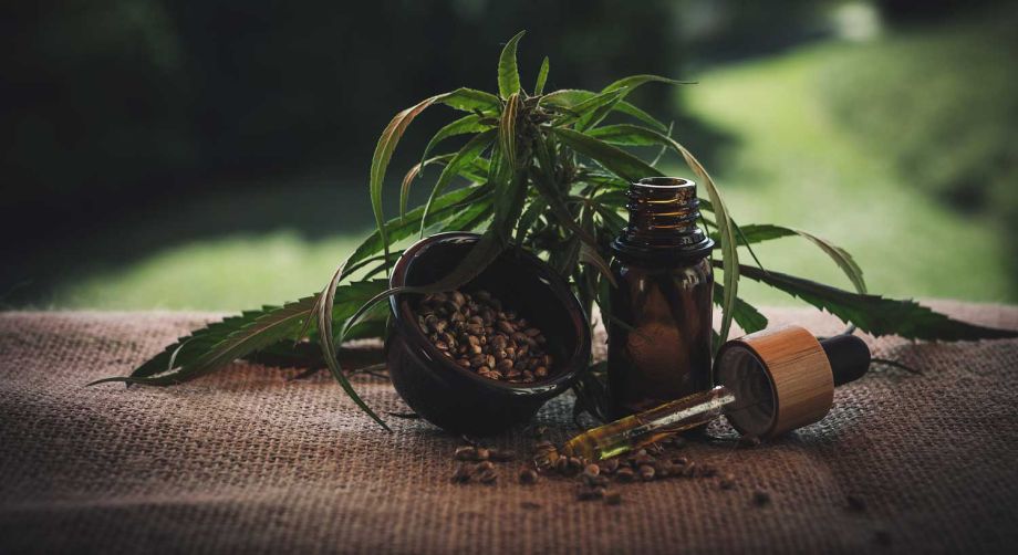 Patient informiert sich online über medizinisches Cannabis und Reisen in Europa