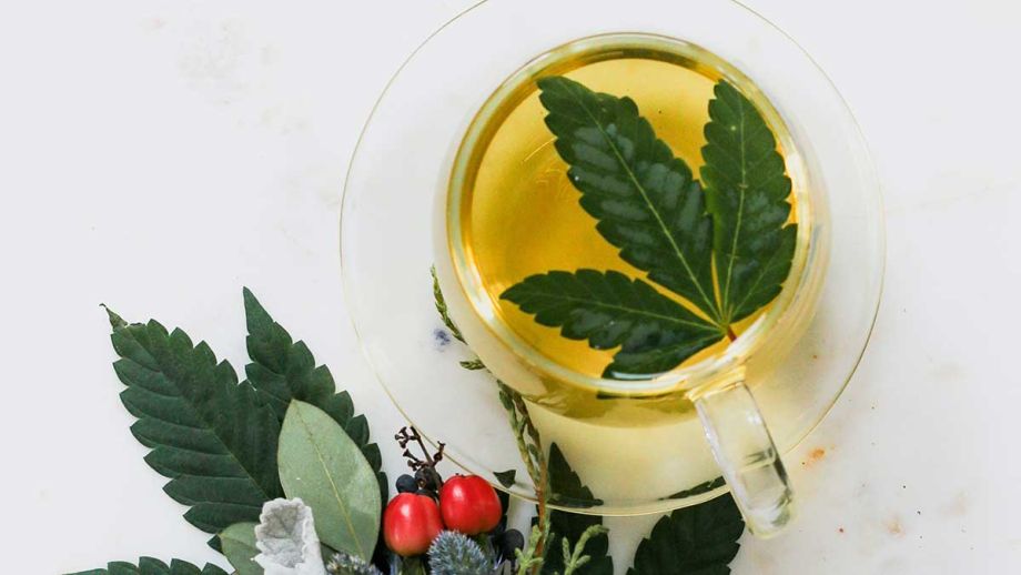 Überraschende Vorteile des Trinkens von Cannabistee