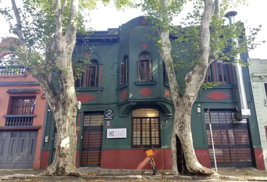 Cannabismuseum Montevideo, Geschichte einer Pflanze, die Kultur schafft