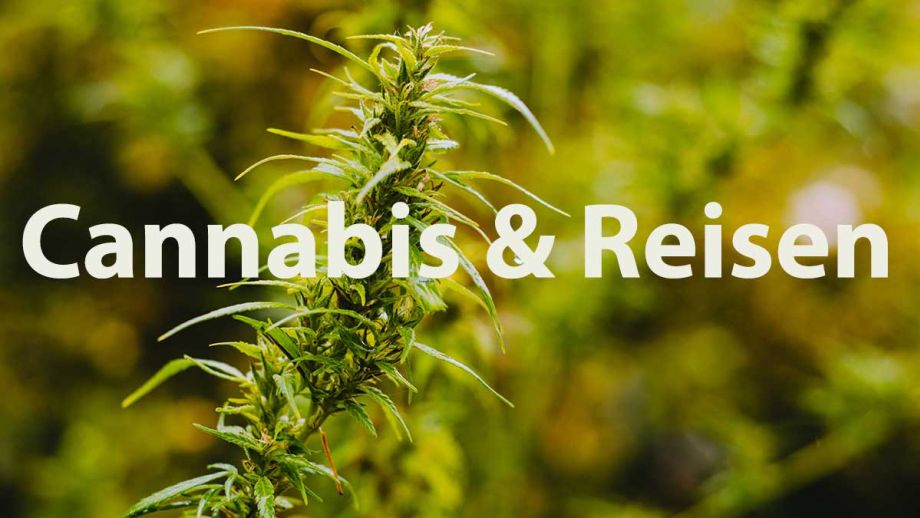 Infos zum Reisen mit Cannabis.