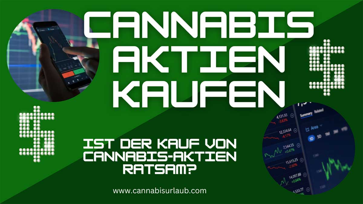 cannabis aktien