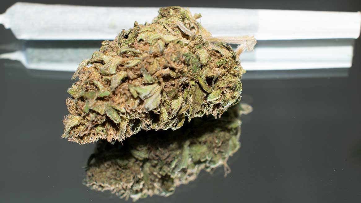 cannabis legal