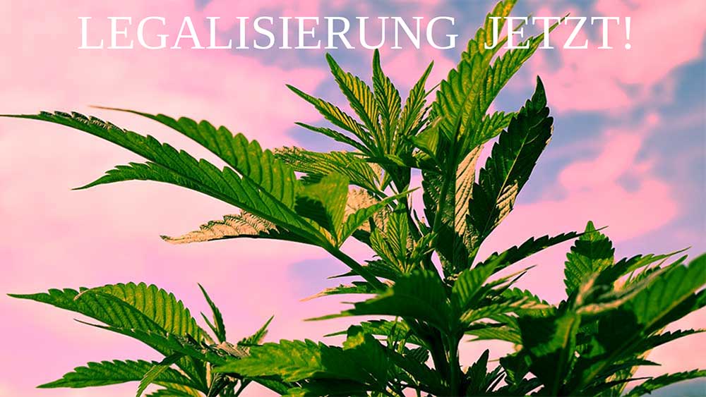 geschichte cannabis