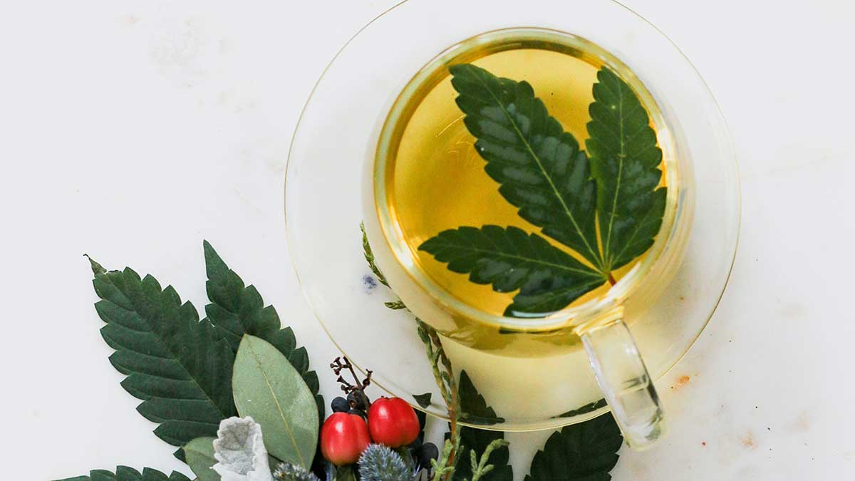 cannabistee