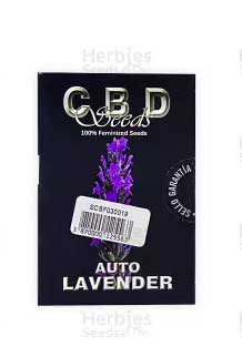 LAVENDER