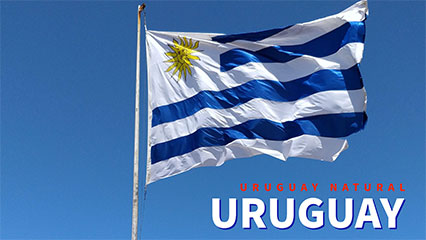 Uruguay Natural - Cannabis Urlaub ganz legal in Uruguay geniessen
