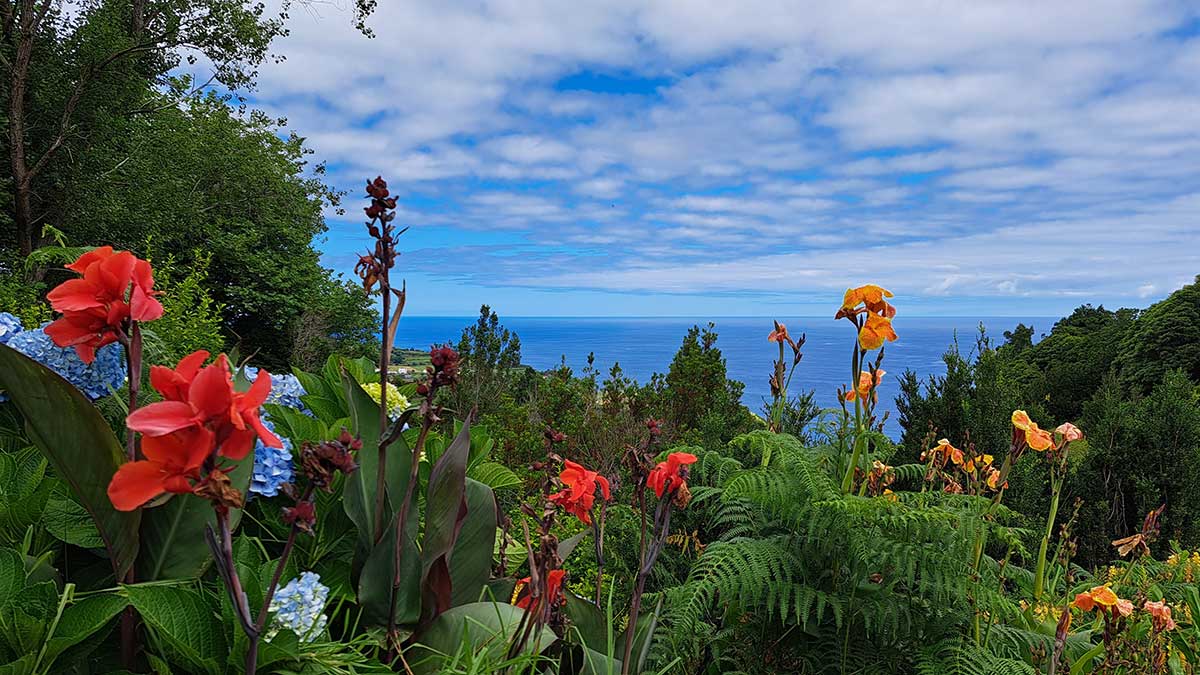 cannabis sao miguel