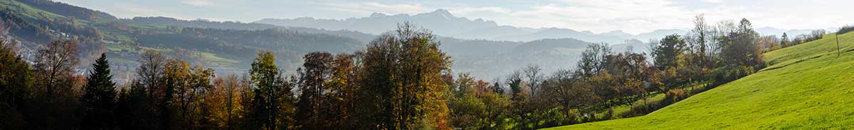 cannabis urlaub st gallen