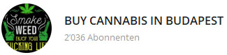 boy cannabis budapest