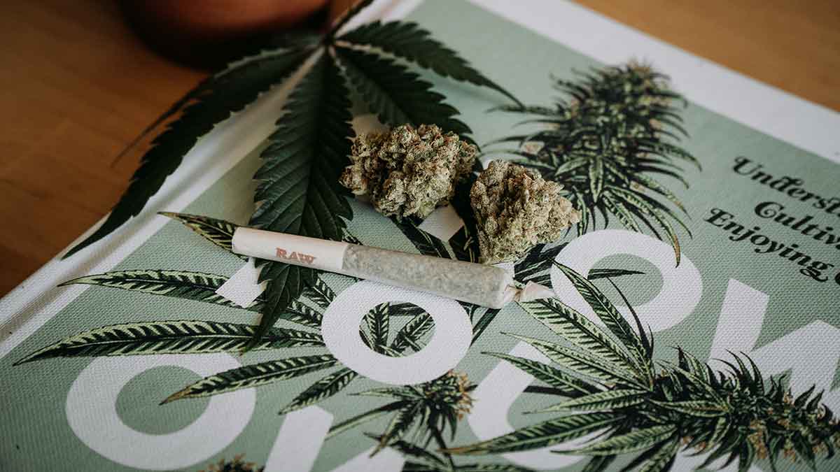 cannabisfreundliche staedte usa