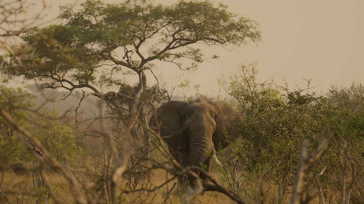 swasiland urlaub