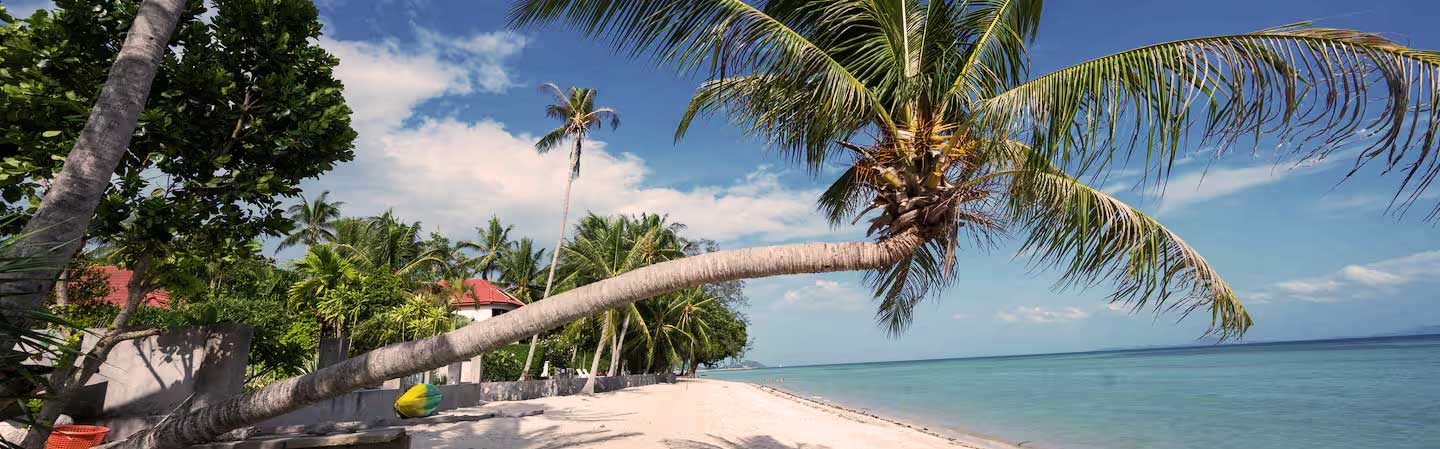 kiffen auf der insel