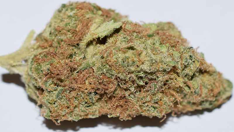 Medizinisches Cannabis