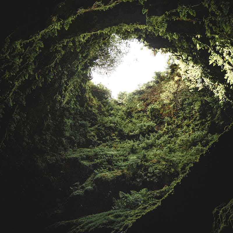 Ponta Delgada ist ein Paradies für Naturliebhaber