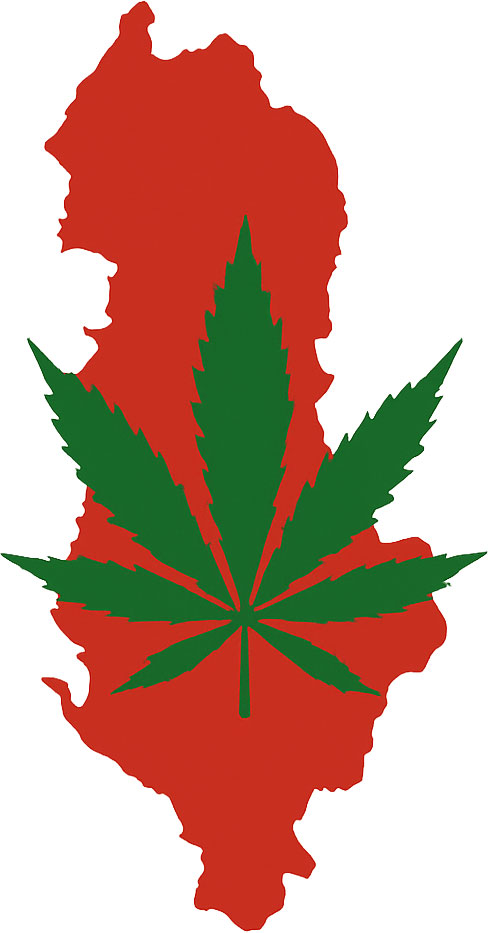 cannabis urlaub albanien