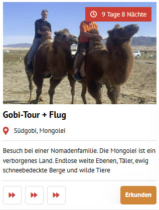 gobi mongolei tour
