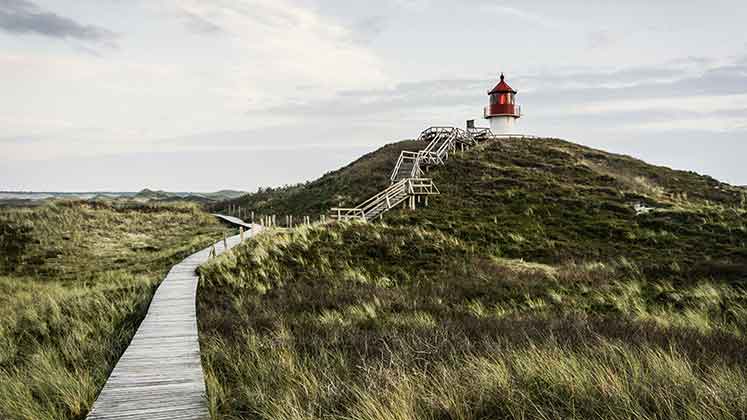 Amrum