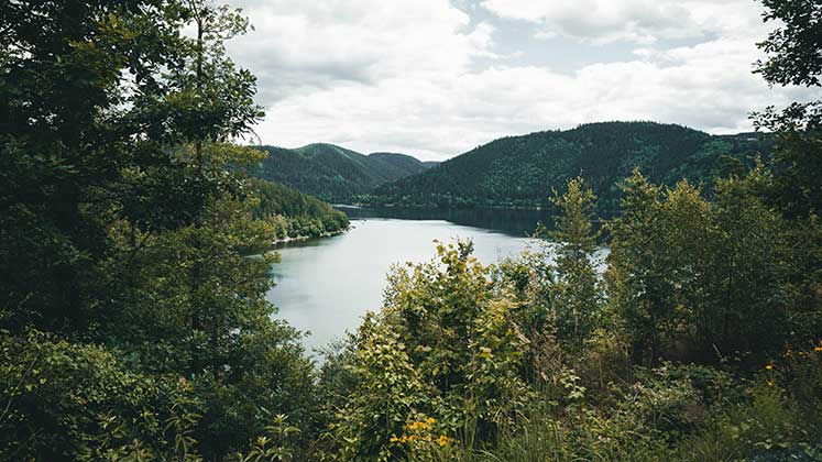 Weimar und Thüringer Land