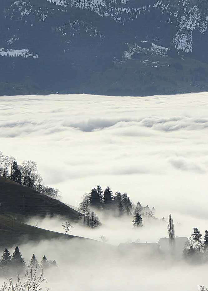 cannabis urlaub und nebelmeer über thun