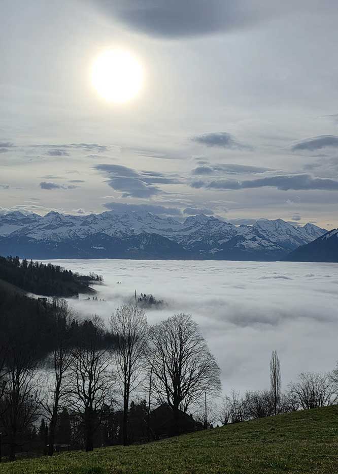 cannabis urlaub und nebelmeer über thun