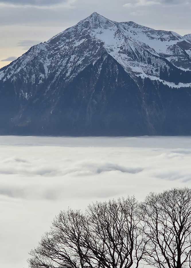 cannabis urlaub und nebelmeer über thun