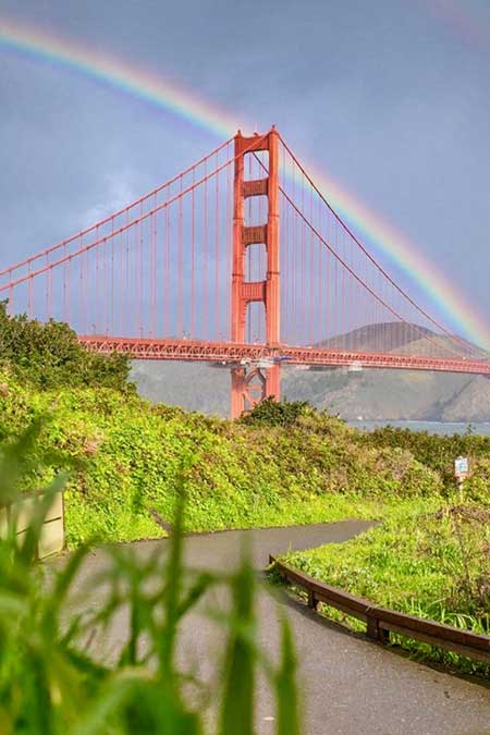 cannabis wein tour san francisco