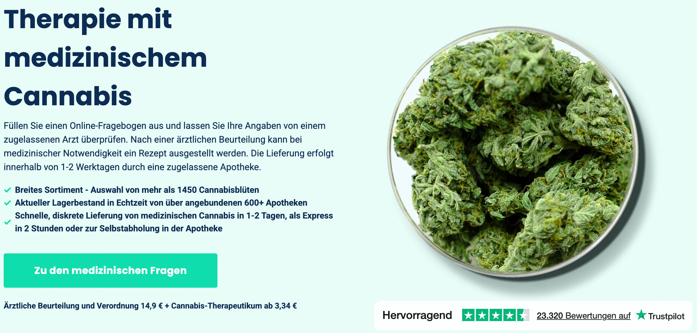 therapie mit medizinischem cannabis