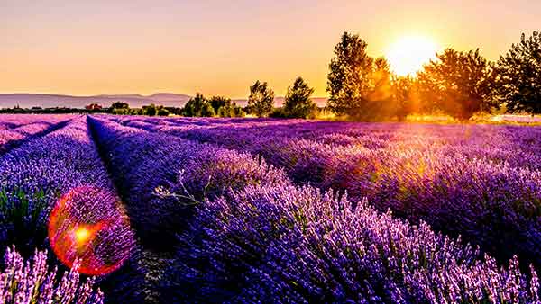 cannabisurlaub frankreich