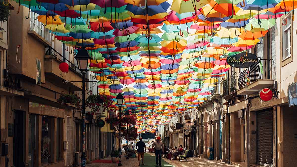 Erlebe den Jakobsweg mit Cannabis: Reise der Selbsterkenntnis