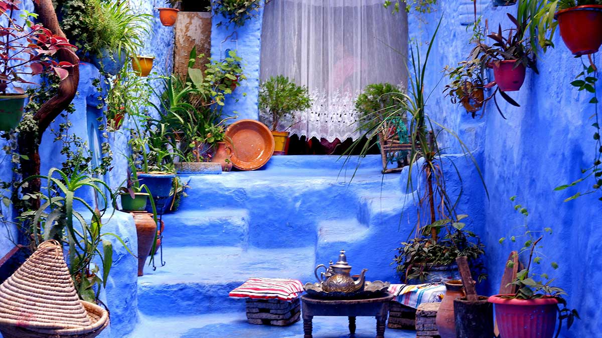 Chefchaouen – Blaues Rif-Juwel & Hanf-Tradition erleben