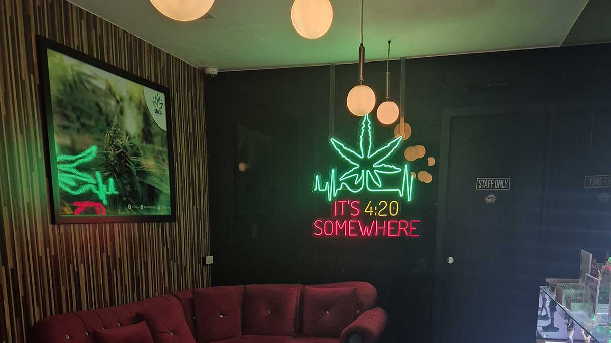 Lion Rolling Circus: Koh Samuis Cannabis-Paradies