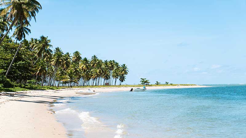 Traumurlaub: Cannabis & Badeparadiese in Brasilien