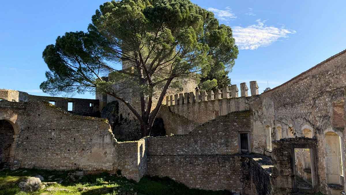 Tempelritter, Natur & Genuss?