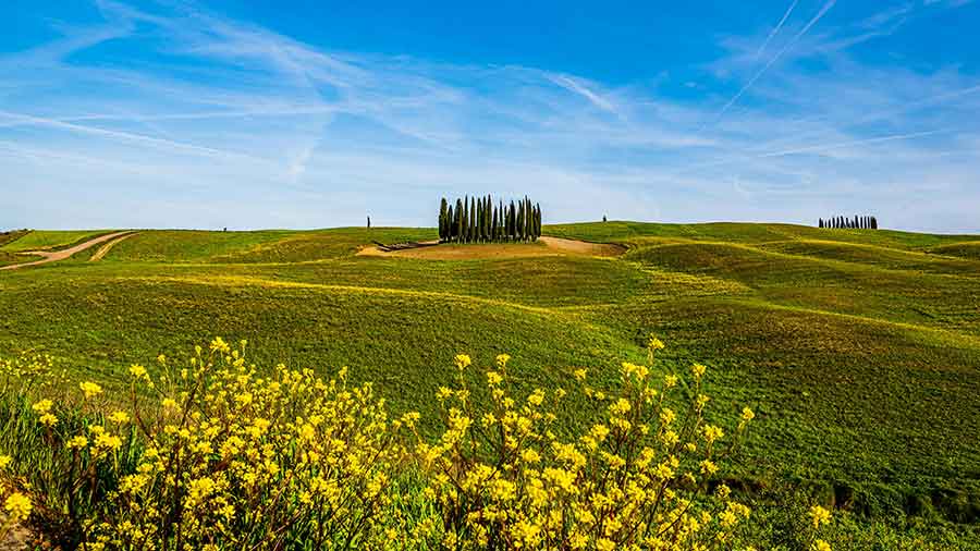 👉 Val d’Orcia: Sanfte Hügel & Weite spüren
