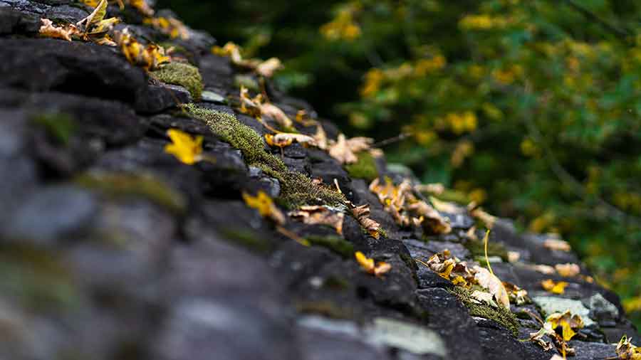 👉 Verzasca-Tal: Smaragdgrünes Kraftwunder