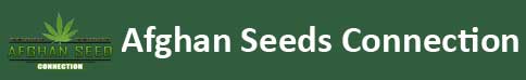 afganseeds