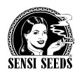 sensi seeds