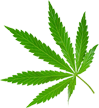 Marihuana Blatt cannabis blatt